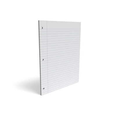 TRU RED™ Wide Ruled Filler Paper, 8" x 10.5", White, 100 Sheets/Pack, 12 Packs/Carton (TR23904)