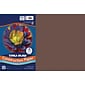 Tru-Ray 12" x 18" Construction Paper, Dark Brown, 50 Sheets (P103056)