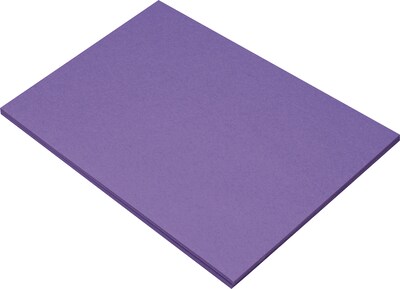 Riverside 3D 12 x 18 Construction Paper, Violet, 50 Sheets (P103627)