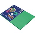 Riverside 3D 12 x 18 Construction Paper, Green, 50 Sheets (P103620)