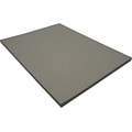 Riverside 3D 9 x 12 Construction Paper, Slate Gray, 50 Sheets (P103609)