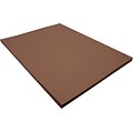 Riverside 3D 9 x 12 Construction Paper, Dark Brown, 50 Sheets (P103606)