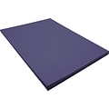 Riverside 3D 9 x 12 Construction Paper, Dark Blue, 50 Sheets (P103601)