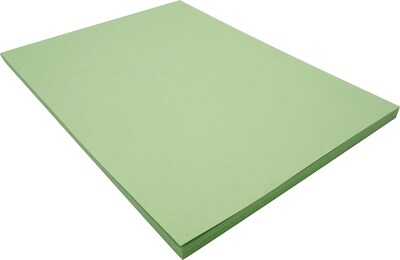 Riverside 3D 9 x 12 Construction Paper, Light Green, 50 Sheets (P103595)