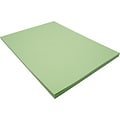 Riverside 3D 9 x 12 Construction Paper, Light Green, 50 Sheets (P103595)