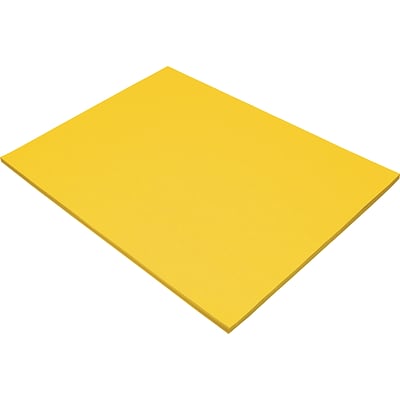 Tru-Ray 18 x 24 Construction Paper, Yellow, 50 Sheets (P103068)