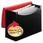 Smead Plastic Accordian File, 12 Pockets, Letter Size, Red/Black (70866)