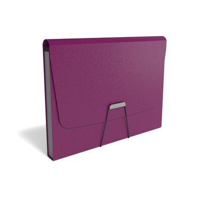 TRU RED™ Reinforced Plastic Accordion File, 13-Pocket, Letter Size, Purple (TR52015)
