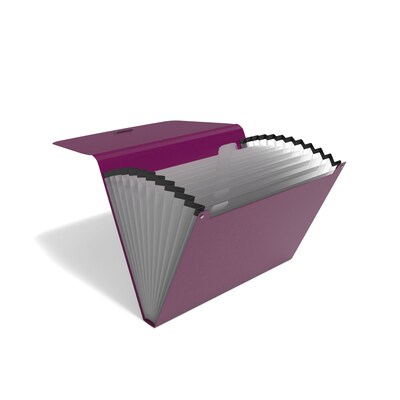 TRU RED™ Reinforced Plastic Accordion File, 13-Pocket, Letter Size, Purple (TR52015)