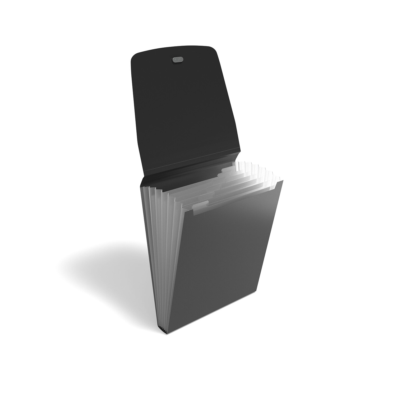 TRU RED™ Plastic Accordion File, 7-Pocket, Letter Size, Black (TR51850)