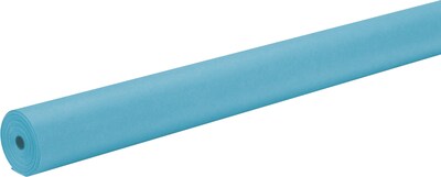 ArtKraft Duo-Finish Paper Roll, 48 x 200, Sky Blue (P0067154)