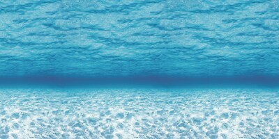Pacon Fadeless Paper Roll, 48 x 50, Under The Sea (P0056525)