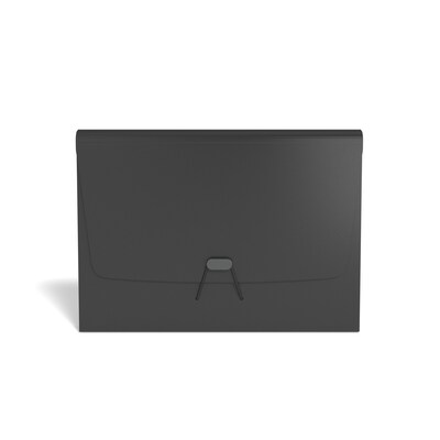 TRU RED™ Moisture Resistant Reinforced Plastic Accordion File, 13-Pocket, Letter Size, Black (TR51830)