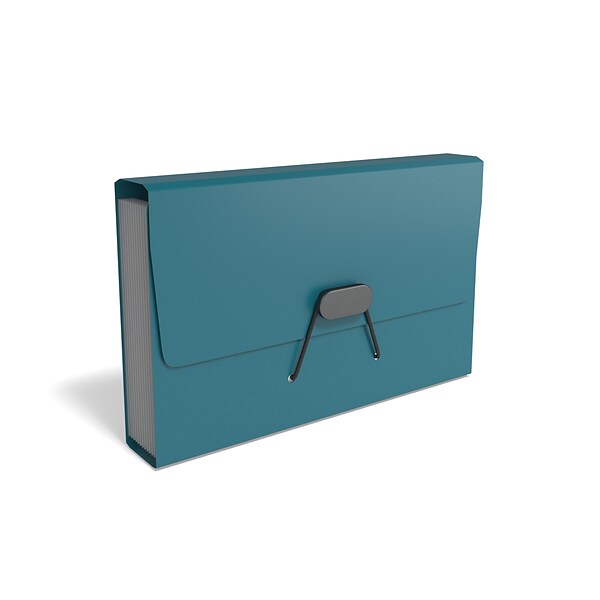 TRU RED™ Plastic Accordion File, 13-Pocket, Coupon Size, Assorted Colors (TR51828)