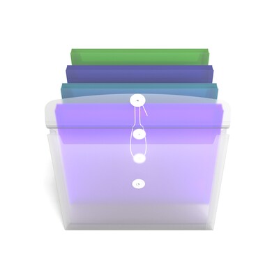 TRU RED™ Plastic Filing Envelopes with Button & String Closure, Letter Size, Assorted Colors, 5/Pack (TR10782)