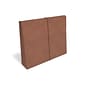 Staples® 10% Recycled Reinforced Expanding Wallet with Elastic Closure, Letter, Brown, 10/Box (ST333