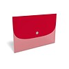 TRU RED™ Plastic Filing Envelope with Snap Closure, Letter Size, Assorted Colors (TR51798)