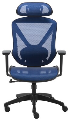 dexley mesh task chair