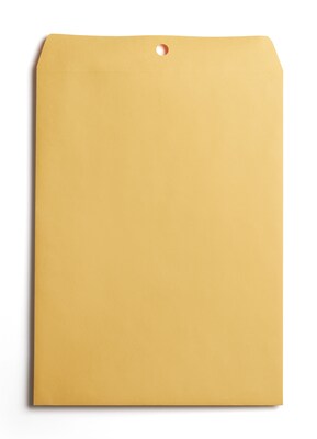 BASELINE Clasp Catalog Envelope, 9 x 12, Brown, 100/Pack (BL58390)