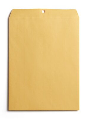 BASELINE Clasp #13 Catalog Envelope, 10 x 13, Brown, 100/Pack (BL58389)
