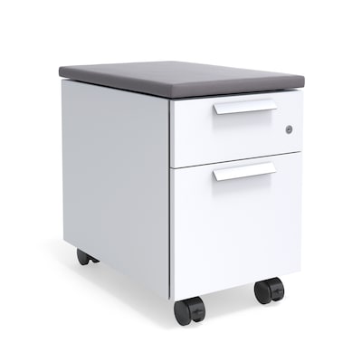 HON Lewis 2-Drawer Mobile Vertical File Cabinet, Letter/Legal Size, Lockable, 24H x 15W x 23D, Ch