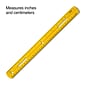 Staples 12" Plastic Ruler, Assorted Colors (51884)