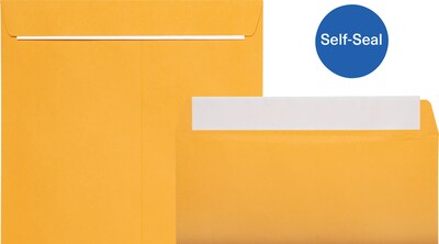 Quill Brand® Self-Seal Catalog Envelope, 10 x 13, Brown Kraft, 250/Box (SS101328)