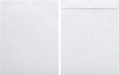 Quill Brand® Gummed Catalog Envelope, 10 x 13, White, 250/Box (OE101328W)