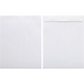 Quill Brand® Gummed Catalog Envelope, 10 x 13, White, 250/Box (OE101328W)