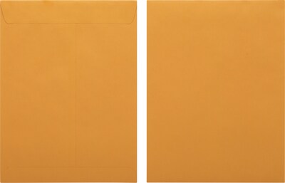 Quill Brand® Self-Seal Catalog Envelope, 9 x 12, Brown Kraft, 250/Box (SS91228)