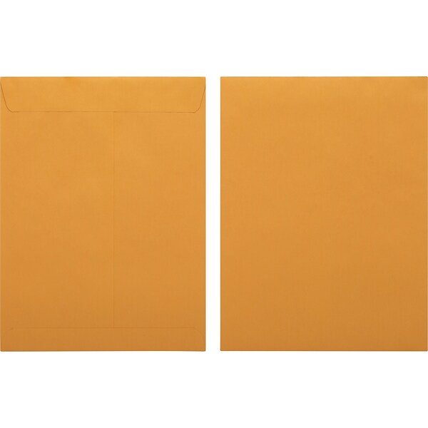 Quill Brand® Self-Seal Catalog Envelope, 9 x 12, Brown Kraft, 250/Box (SS91228)