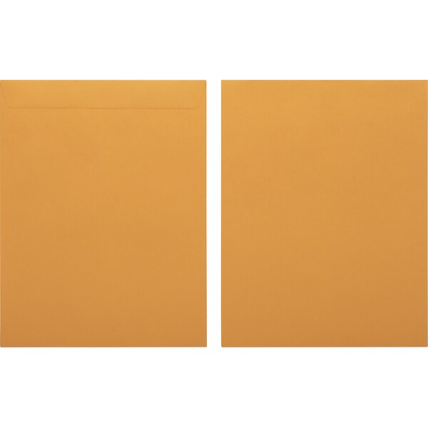 Quill Brand® Gummed Catalog Envelope, 10 x 13, Kraft, 250/Box (OE101328)