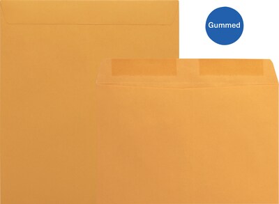 Quill Brand® Gummed Catalog Envelope, 10 x 13, Kraft, 250/Box (OE101328)