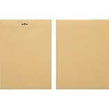 Quill Brand® Clasp Catalog Envelope, 9 x 12, Manila, 100/Box (CL912)