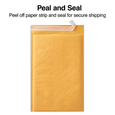 Coastwide Professional™ 5.75" x 9" Self-Sealing Bubble Mailer, #00, Kraft, 250/Carton (CW56652B)