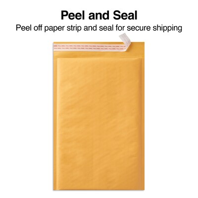 11.25" x 15" Self-Sealing Bubble Mailer, #5, 25/Carton (ST56649B)