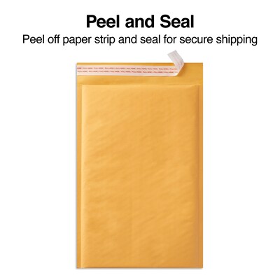 4.63" x 6.75" Self-Sealing Bubble Mailer, #000, 25/Carton (ST56655B)