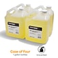 Coastwide Professional™ Antibacterial Liquid Hand Soap Refill, 1 Gal., 4/Carton (CW153RU01-ACT)