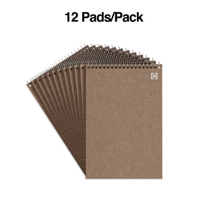 TRU RED™ Steno Pad, 6 x 9, Gregg Ruled, Kraft, 80 Sheets/Pad, Dozen (TR59940/TR58190)
