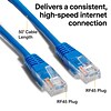 NXT Technologies™ NX29775 50 CAT-5e Cable, Blue