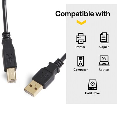 NXT Technologies™ 7' USB A Male/B Male, Black (NX29929)