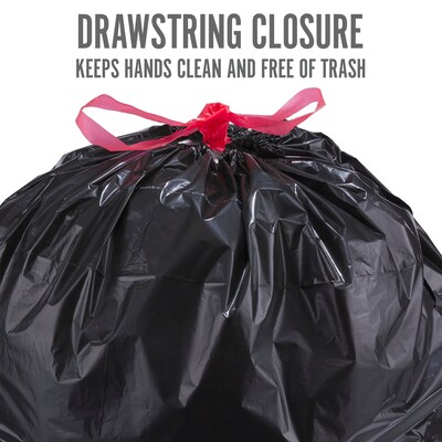 33 Gallon Black Low Density EZ Tie Closure Trash Bag (100-Count