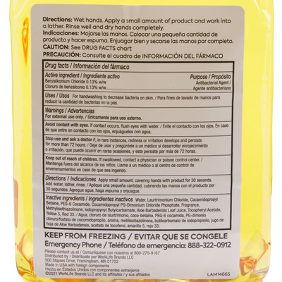Coastwide Professional J-Series Antibacterial Foaming Hand Soap, Citrus, 1200 mL, 2/Carton (CWJSR-CIT)