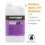 Coastwide Professional™ Disinfectant 66 Concentrate for ExpressMix, 3.25L, 2/Case