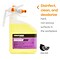 Coastwide Professional™ Disinfectant Lemon DC Plus Concentrate for EasyConnect, 3L, 2/Pack