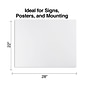 Staples Poster Boards, 10-Pack, White, 22" x 28" (MMK04500S)