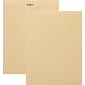 Quill Brand® Clasp Catalog Envelope, 9" x 12", Manila, 100/Box (CL912)