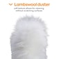 Coastwide Professional™ Extendable Lamb Wool Duster, Gray (CW56799)