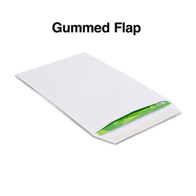 Staples® Gummed Flap Seal Economy White Wove Catalog Envelopes; 6" x 9", 250/Box (247668/19281)