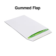 Staples® Gummed Flap Seal Economy White Wove Catalog Envelopes; 6 x 9, 250/Box (247668/19281)